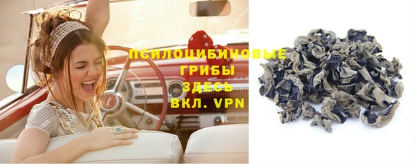 дурь Майский