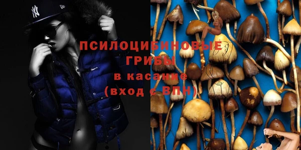 дурь Майский