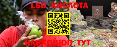 гашик Берёзовский