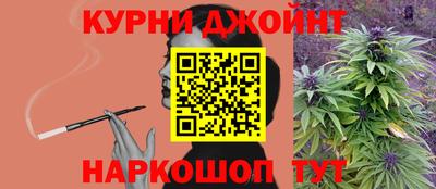 гашик Берёзовский