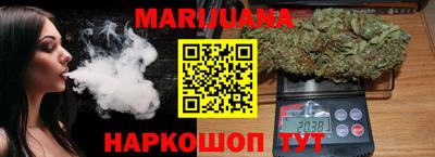гашик Берёзовский