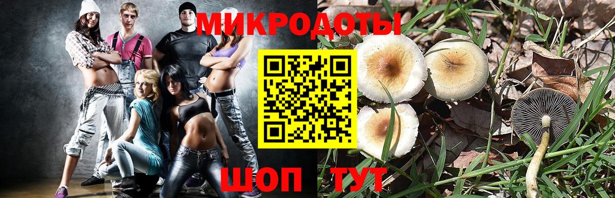 Галлюциногенные грибы мухоморы  Галлюциногенные грибы Psilocybe  Киров  Вход с VPN 